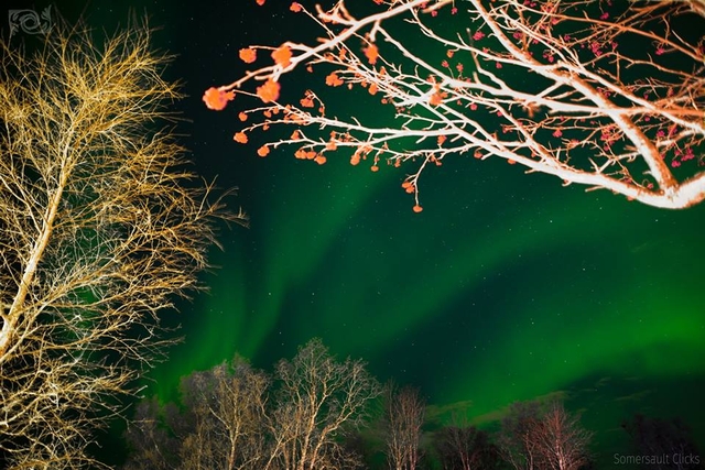 Polarlicht in Tromsø am 21.01.2018, Copyright Somersault Clicks, all rights reserved
